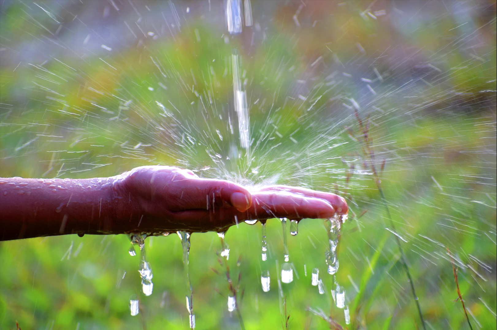 Water wise photo 5
